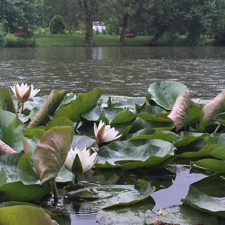 Fantanita Craiesei Hotel Făgăraş Kültér fotó